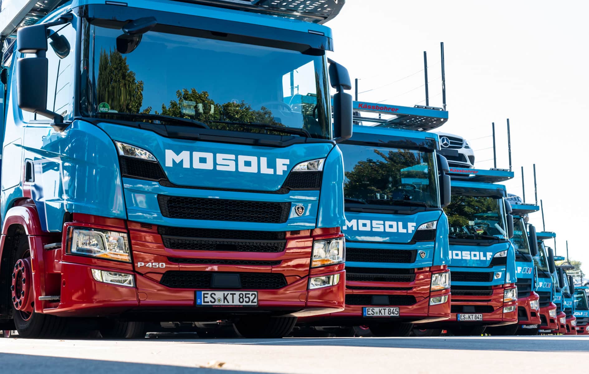 MOSOLF Logistics & Services